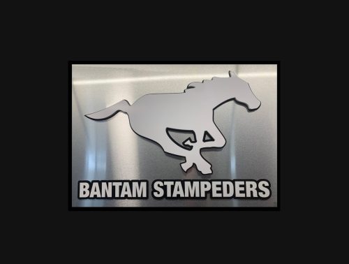 Calgary-Bantam-Stampeders-Facility